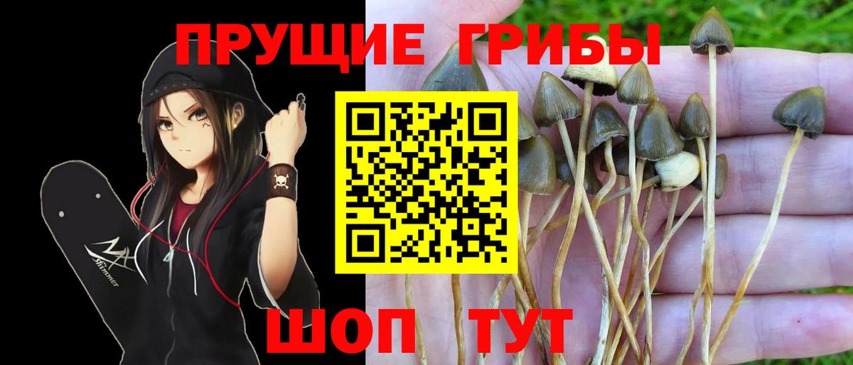 где продают наркотики  Псилоцибиновые грибы ЛСД  Вход с VPN  Кизляр 