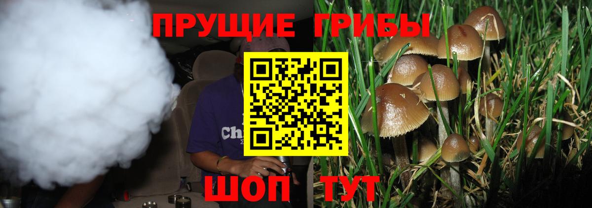 Галлюциногенные грибы мухоморы Кизляр