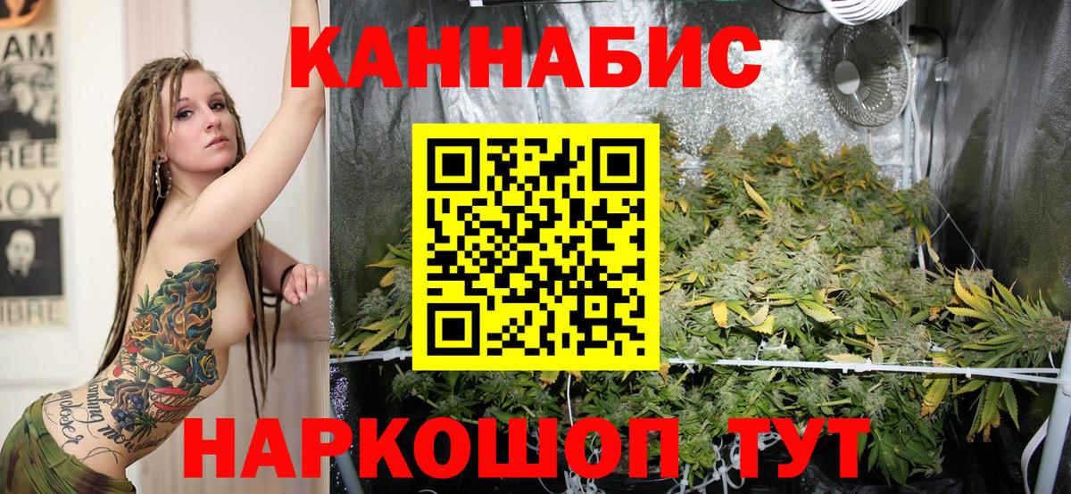 Кизляр  Бошки марихуана LSD WEED  Вход с VPN  Бошки марихуана семена  Шишки марихуана ГИДРОПОН  Бошки Шишки White Widow 
